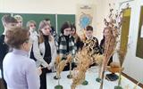 school_7grodno_1710306027314