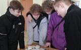 school_7grodno_1711343364490